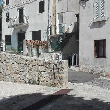 Niolu Apartment Albertacce Exterior foto